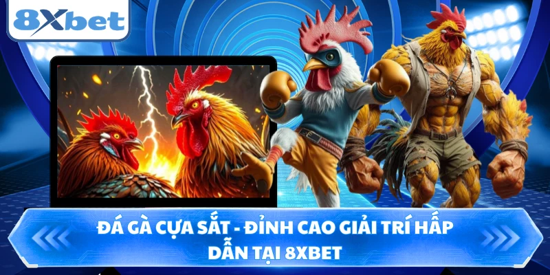 Đá Gà Cựa Sắt - Đỉnh Cao Giải Trí Hấp Dẫn Tại 8XBET