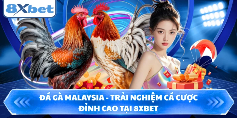 Đá Gà Malaysia - Trải Nghiệm Cá Cược Đỉnh Cao Tại 8XBET