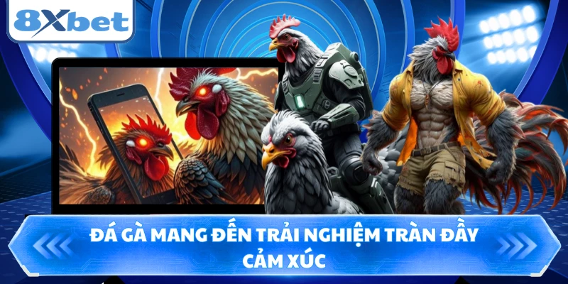Đá gà mang đến trải nghiệm tràn đầy cảm xúc