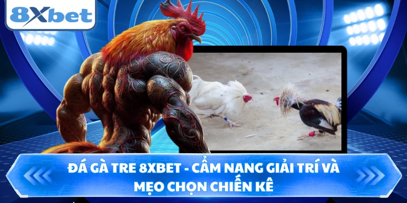 Đá Gà Tre 8XBET - Cẩm Nang Giải Trí Và Mẹo Chọn Chiến Kê