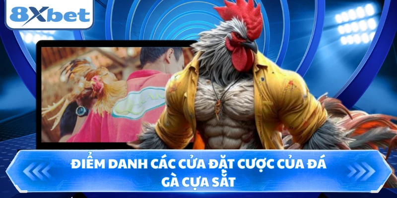 Điểm danh các cửa đặt cược của đá gà cựa sắt