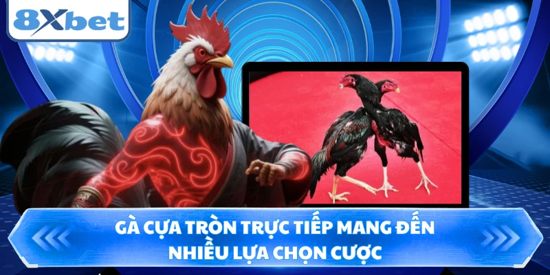 Gà cựa tròn trực tiếp mang đến nhiều lựa chọn cược