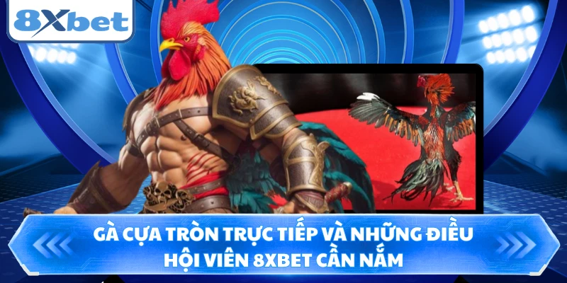 Gà Cựa Tròn Trực Tiếp Và Những Điều Hội Viên 8XBET Cần Nắm