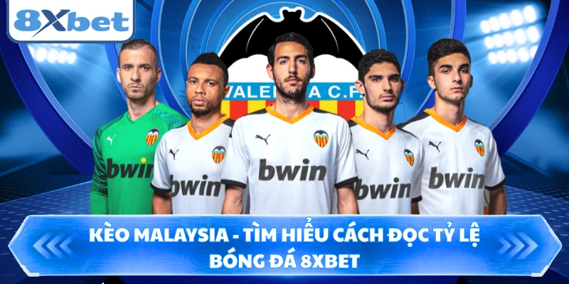 Kèo Malaysia - Tìm Hiểu Cách Đọc Tỷ Lệ Bóng Đá 8XBET