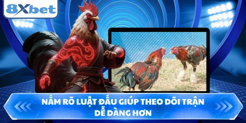 Nắm rõ luật đấu giúp theo dõi trận dễ dàng hơn
