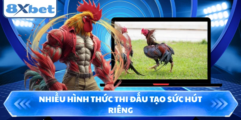 Nhiều hình thức thi đấu tạo sức hút riêng