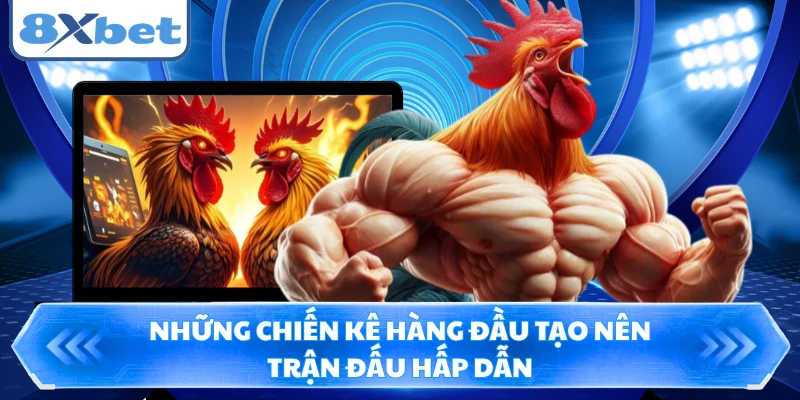 Những chiến kê hàng đầu tạo nên trận đấu hấp dẫn