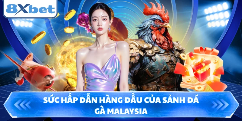 Sức hấp dẫn hàng đầu của sảnh đá gà Malaysia