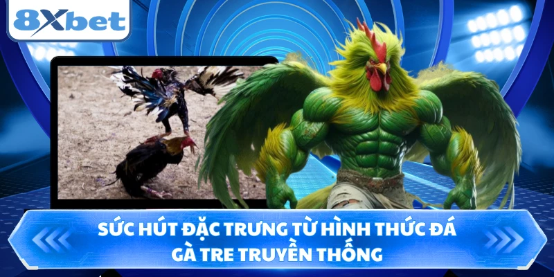 Sức hút đặc trưng từ hình thức đá gà tre truyền thống
