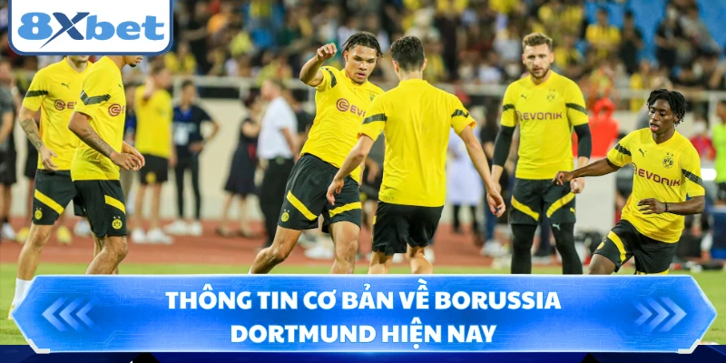 Thông tin cơ bản về Borussia Dortmund hiện nay