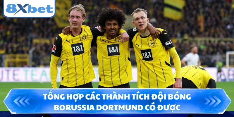 Tổng hợp các thành tích đội bóng Borussia Dortmund có được