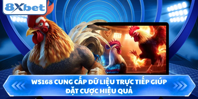 WS168 cung cấp dữ liệu trực tiếp giúp đặt cược hiệu quả