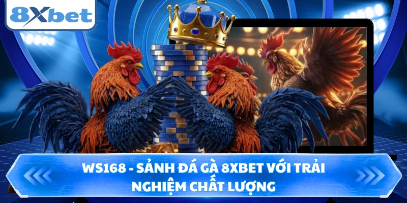 WS168 - Sảnh Đá Gà 8XBET Với Trải Nghiệm Chất Lượng